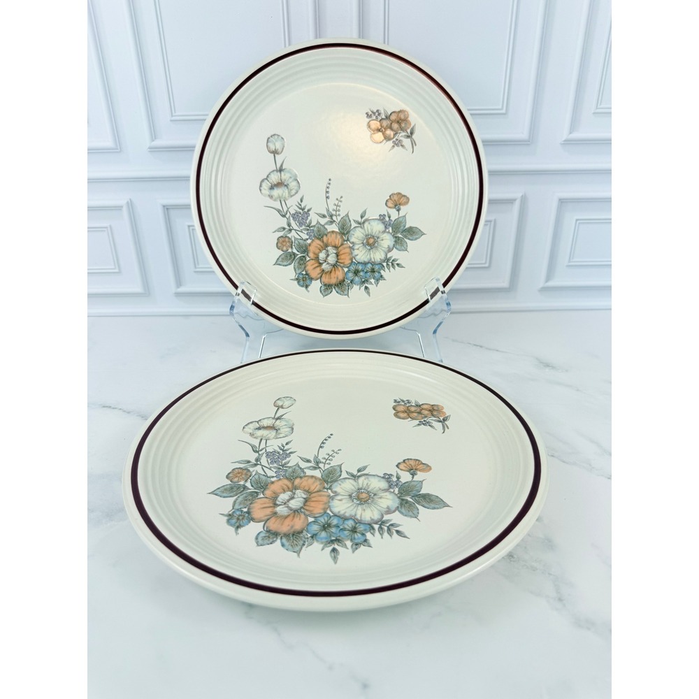 VTG 1970s PAIR (2) Anchor Hocking Kensington Stoneware 10 3/4" Dinner Plates